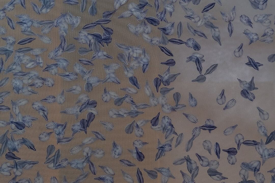 Ayomi Yoshida | Ayomi Yoshida | 吉田亜世美